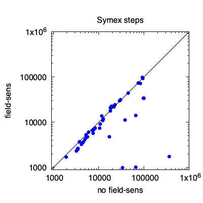 Symex steps